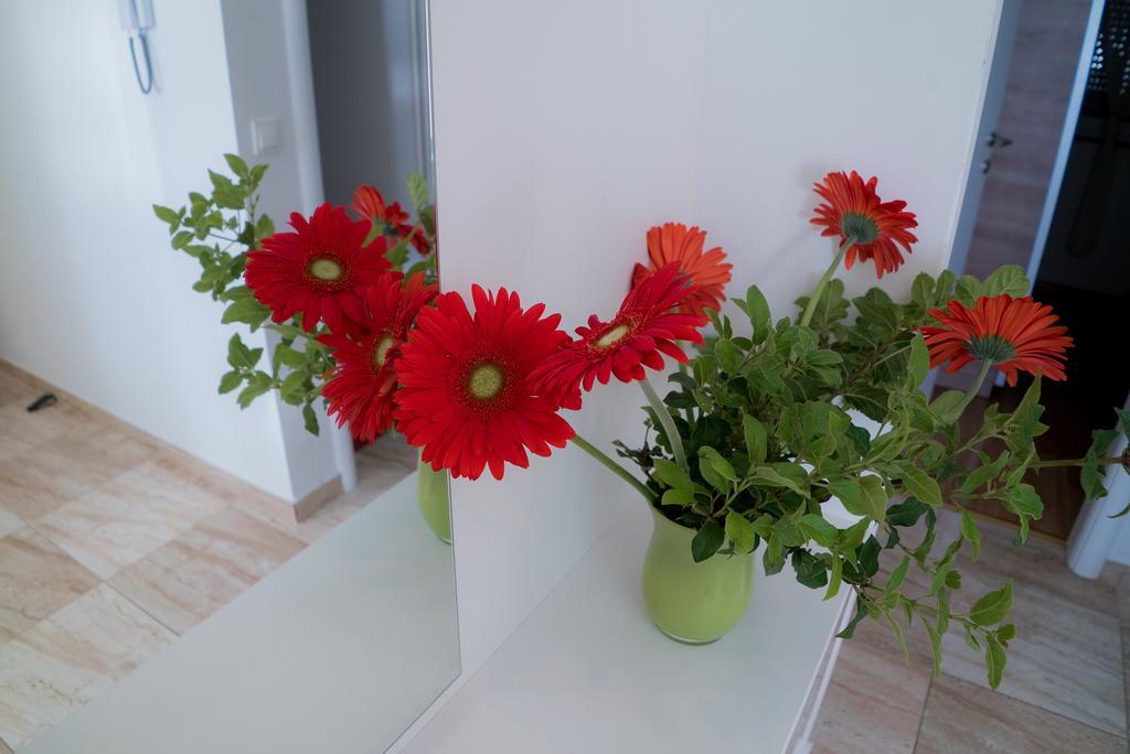 Apartmani Ruzica ماكارسكا المظهر الخارجي الصورة